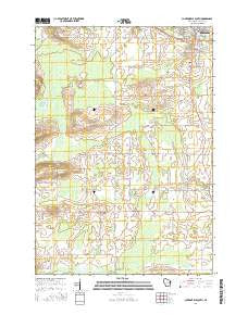 Clintonville South Wisconsin Current topographic map, 1:24000 scale, 7.5 X 7.5 Minute, Year 2016