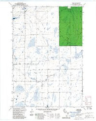 Dover Wisconsin Historical topographic map, 1:24000 scale, 7.5 X 7.5 Minute, Year 1979