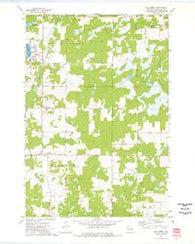 Holcombe Wisconsin Historical topographic map, 1:24000 scale, 7.5 X 7.5 Minute, Year 1973