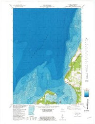 Idlewild Wisconsin Historical topographic map, 1:24000 scale, 7.5 X 7.5 Minute, Year 1981