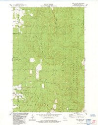 Iron Lake NE Wisconsin Historical topographic map, 1:24000 scale, 7.5 X 7.5 Minute, Year 1984