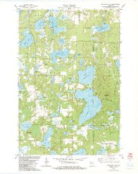 Mc Kenzie Lake Wisconsin Historical topographic map, 1:24000 scale, 7.5 X 7.5 Minute, Year 1982