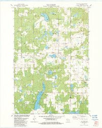 Mc Kinley Wisconsin Historical topographic map, 1:24000 scale, 7.5 X 7.5 Minute, Year 1982