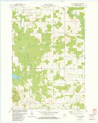 Mead Lake East Wisconsin Historical topographic map, 1:24000 scale, 7.5 X 7.5 Minute, Year 1982