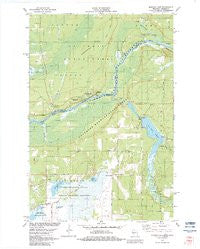 Monson Lake Wisconsin Historical topographic map, 1:24000 scale, 7.5 X 7.5 Minute, Year 1982
