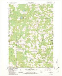 Regina Wisconsin Historical topographic map, 1:24000 scale, 7.5 X 7.5 Minute, Year 1982