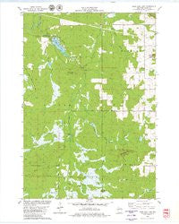 Rock Dam Lake Wisconsin Historical topographic map, 1:24000 scale, 7.5 X 7.5 Minute, Year 1979