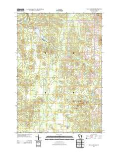 Rock Dam Lake Wisconsin Historical topographic map, 1:24000 scale, 7.5 X 7.5 Minute, Year 2013