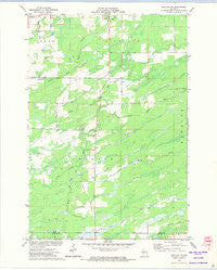 Sheldon NE Wisconsin Historical topographic map, 1:24000 scale, 7.5 X 7.5 Minute, Year 1971