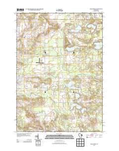 Wild Rose Wisconsin Historical topographic map, 1:24000 scale, 7.5 X 7.5 Minute, Year 2013