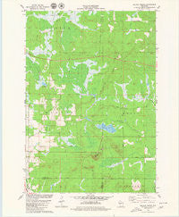 Wildcat Mound Wisconsin Historical topographic map, 1:24000 scale, 7.5 X 7.5 Minute, Year 1979