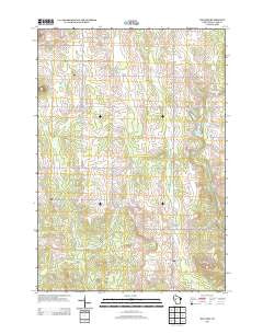 Willard Wisconsin Historical topographic map, 1:24000 scale, 7.5 X 7.5 Minute, Year 2013