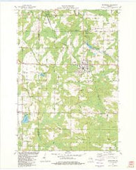 Wittenberg Wisconsin Historical topographic map, 1:24000 scale, 7.5 X 7.5 Minute, Year 1982