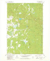 Wood Lake Wisconsin Historical topographic map, 1:24000 scale, 7.5 X 7.5 Minute, Year 1979