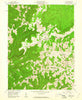 Aurora West Virginia Historical topographic map, 1:24000 scale, 7.5 X 7.5 Minute, Year 1959