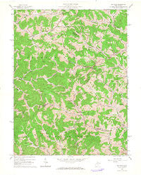 Big Isaac West Virginia Historical topographic map, 1:24000 scale, 7.5 X 7.5 Minute, Year 1964