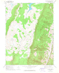 Blackbird Knob West Virginia Historical topographic map, 1:24000 scale, 7.5 X 7.5 Minute, Year 1967