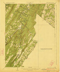 Capon Bridge West Virginia Historical topographic map, 1:62500 scale, 15 X 15 Minute, Year 1923