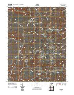 Danese West Virginia Historical topographic map, 1:24000 scale, 7.5 X 7.5 Minute, Year 2011