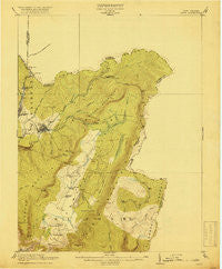 Davis West Virginia Historical topographic map, 1:62500 scale, 15 X 15 Minute, Year 1918