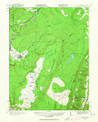Davis West Virginia Historical topographic map, 1:62500 scale, 15 X 15 Minute, Year 1919
