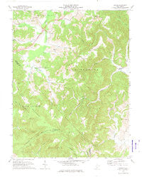 Dawson West Virginia Historical topographic map, 1:24000 scale, 7.5 X 7.5 Minute, Year 1971