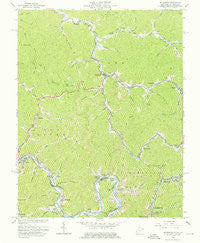 Delbarton West Virginia Historical topographic map, 1:24000 scale, 7.5 X 7.5 Minute, Year 1963