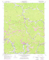 Delbarton West Virginia Historical topographic map, 1:24000 scale, 7.5 X 7.5 Minute, Year 1963
