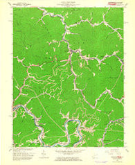Delbarton West Virginia Historical topographic map, 1:24000 scale, 7.5 X 7.5 Minute, Year 1963