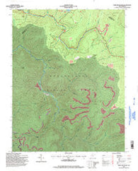 Fork Mountain West Virginia Historical topographic map, 1:24000 scale, 7.5 X 7.5 Minute, Year 1995