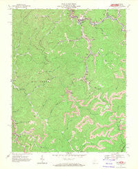 Gary West Virginia Historical topographic map, 1:24000 scale, 7.5 X 7.5 Minute, Year 1967