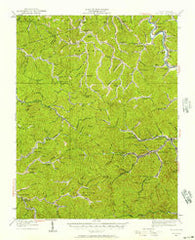 Holden West Virginia Historical topographic map, 1:62500 scale, 15 X 15 Minute, Year 1926