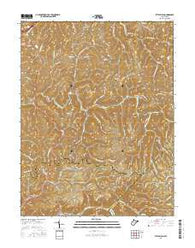 Little Birch West Virginia Current topographic map, 1:24000 scale, 7.5 X 7.5 Minute, Year 2016