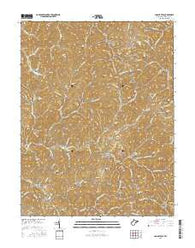 Looneyville West Virginia Current topographic map, 1:24000 scale, 7.5 X 7.5 Minute, Year 2016