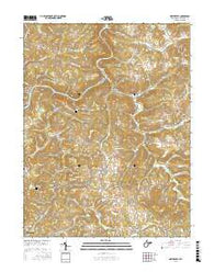 Nestorville West Virginia Current topographic map, 1:24000 scale, 7.5 X 7.5 Minute, Year 2016