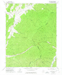 Paddy Knob West Virginia Historical topographic map, 1:24000 scale, 7.5 X 7.5 Minute, Year 1961