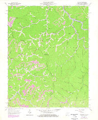 Panther West Virginia Historical topographic map, 1:24000 scale, 7.5 X 7.5 Minute, Year 1963