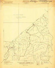 Richwood West Virginia Historical topographic map, 1:48000 scale, 15 X 15 Minute, Year 1921