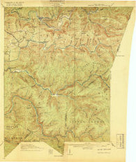 Webster Springs West Virginia Historical topographic map, 1:62500 scale, 15 X 15 Minute, Year 1918