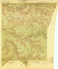 Webster Springs West Virginia Historical topographic map, 1:62500 scale, 15 X 15 Minute, Year 1918