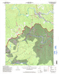 Webster Springs West Virginia Historical topographic map, 1:24000 scale, 7.5 X 7.5 Minute, Year 1995