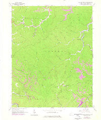 Williams Mountain West Virginia Historical topographic map, 1:24000 scale, 7.5 X 7.5 Minute, Year 1965