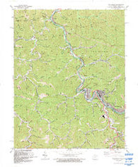 Williamson West Virginia Historical topographic map, 1:24000 scale, 7.5 X 7.5 Minute, Year 1992
