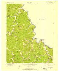 Williamson West Virginia Historical topographic map, 1:24000 scale, 7.5 X 7.5 Minute, Year 1954