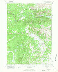 Angle Mountain Wyoming Historical topographic map, 1:24000 scale, 7.5 X 7.5 Minute, Year 1965