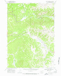 Angle Mountain Wyoming Historical topographic map, 1:24000 scale, 7.5 X 7.5 Minute, Year 1965