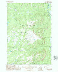 Badger Creek Wyoming Historical topographic map, 1:24000 scale, 7.5 X 7.5 Minute, Year 1989