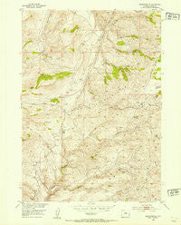 Badwater NE Wyoming Historical topographic map, 1:24000 scale, 7.5 X 7.5 Minute, Year 1952