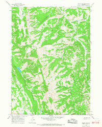 Bailey Lake Wyoming Historical topographic map, 1:24000 scale, 7.5 X 7.5 Minute, Year 1965