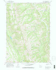 Bailey Lake Wyoming Historical topographic map, 1:24000 scale, 7.5 X 7.5 Minute, Year 1965